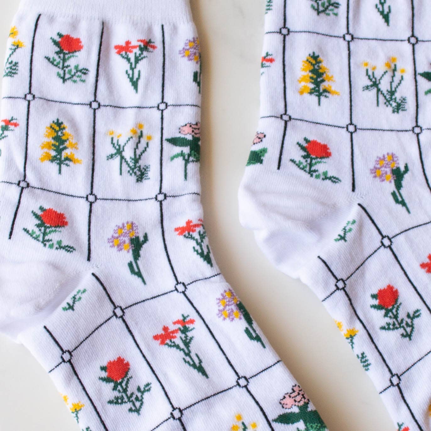 Socks - Botanical Garden