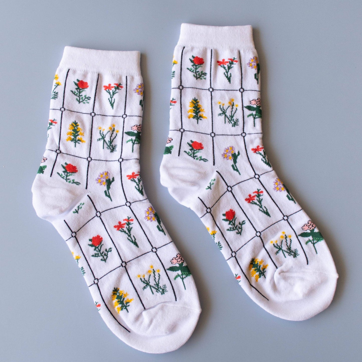Socks - Botanical Garden
