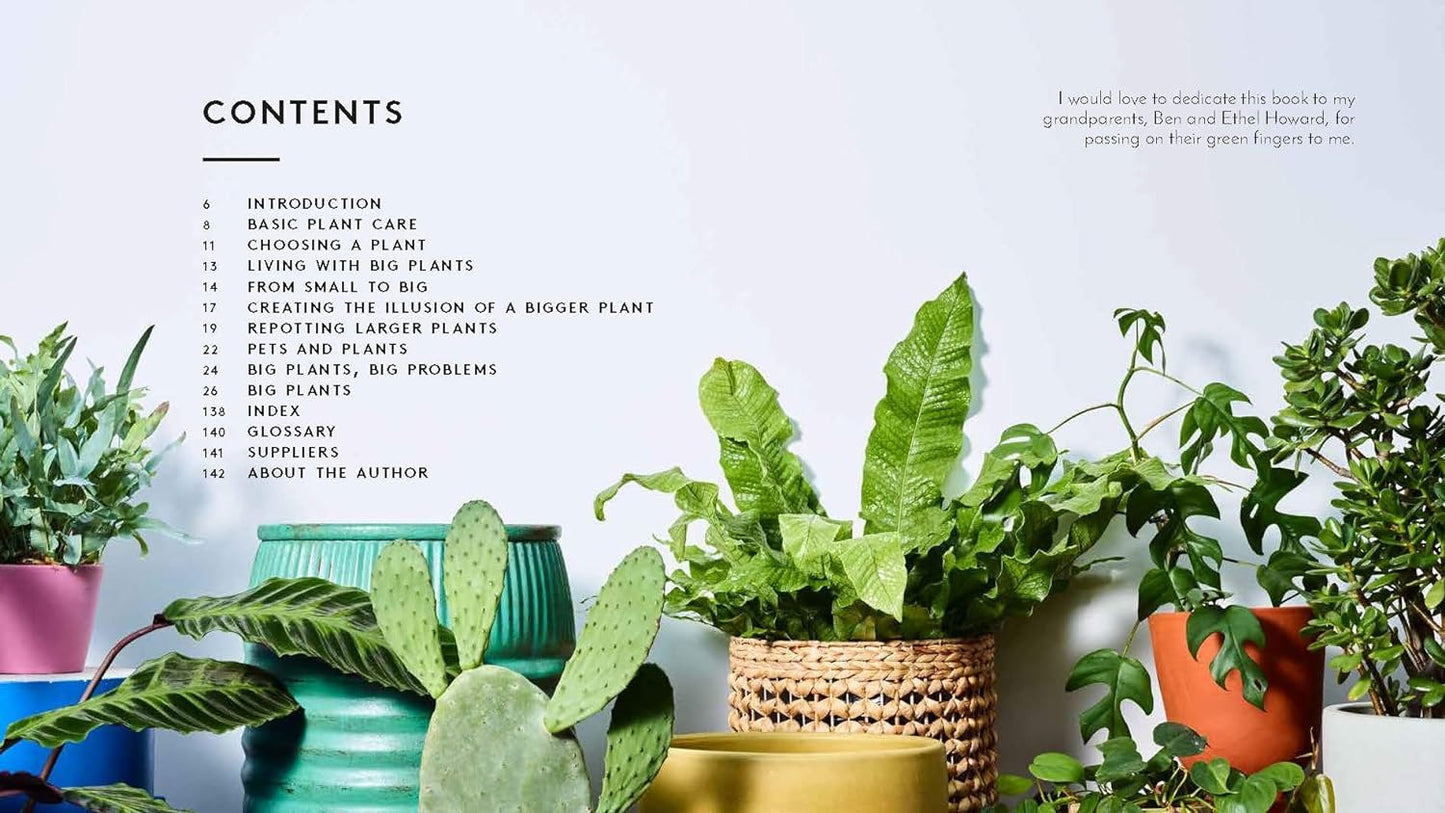 Books - Little Book, Big Plants: Bring the Outside in with 45 Friendly Giants