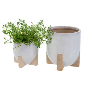 Mod Pot