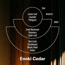 P.F. Candle Co. - Enoki Cedar - Alchemy Incense Cones