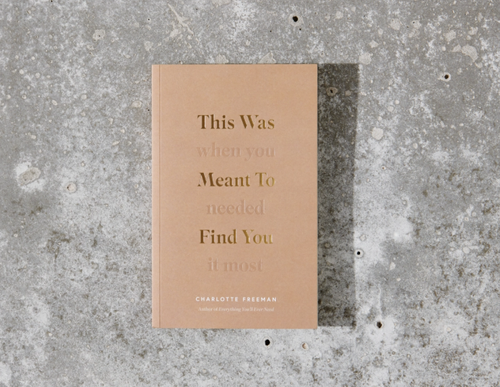 Books - This Was Meant To Find You (When You Needed It Most) - book